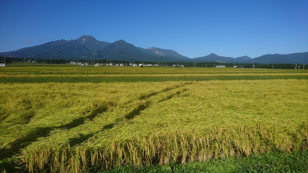 เพนชั่น ไมล์โพสต์ Hotel Itoigawa ภายนอก รูปภาพ